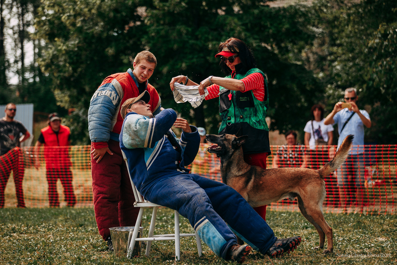 Соревнования по мондьорингу. Фотограф-анималист Наталия Чистюхина в г. Сосновый Бор и ЛО