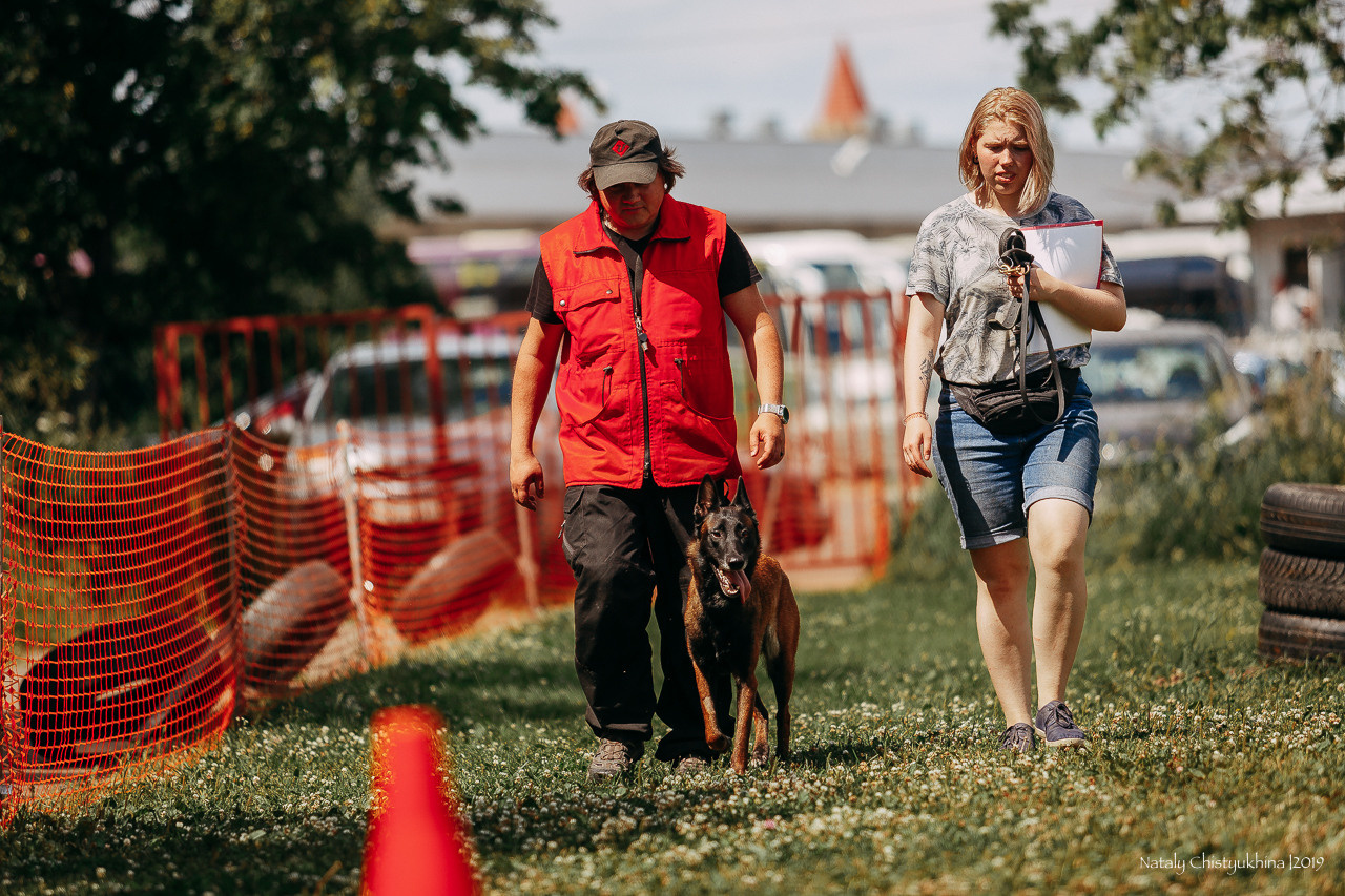 Соревнования по мондьорингу. Фотограф-анималист Наталия Чистюхина в г. Сосновый Бор и ЛО