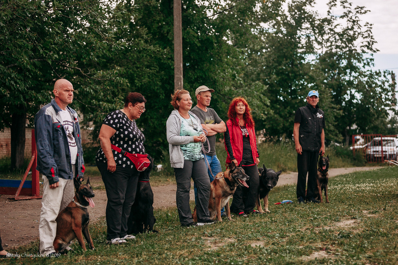 Соревнования по мондьорингу. Фотограф-анималист Наталия Чистюхина в г. Сосновый Бор и ЛО