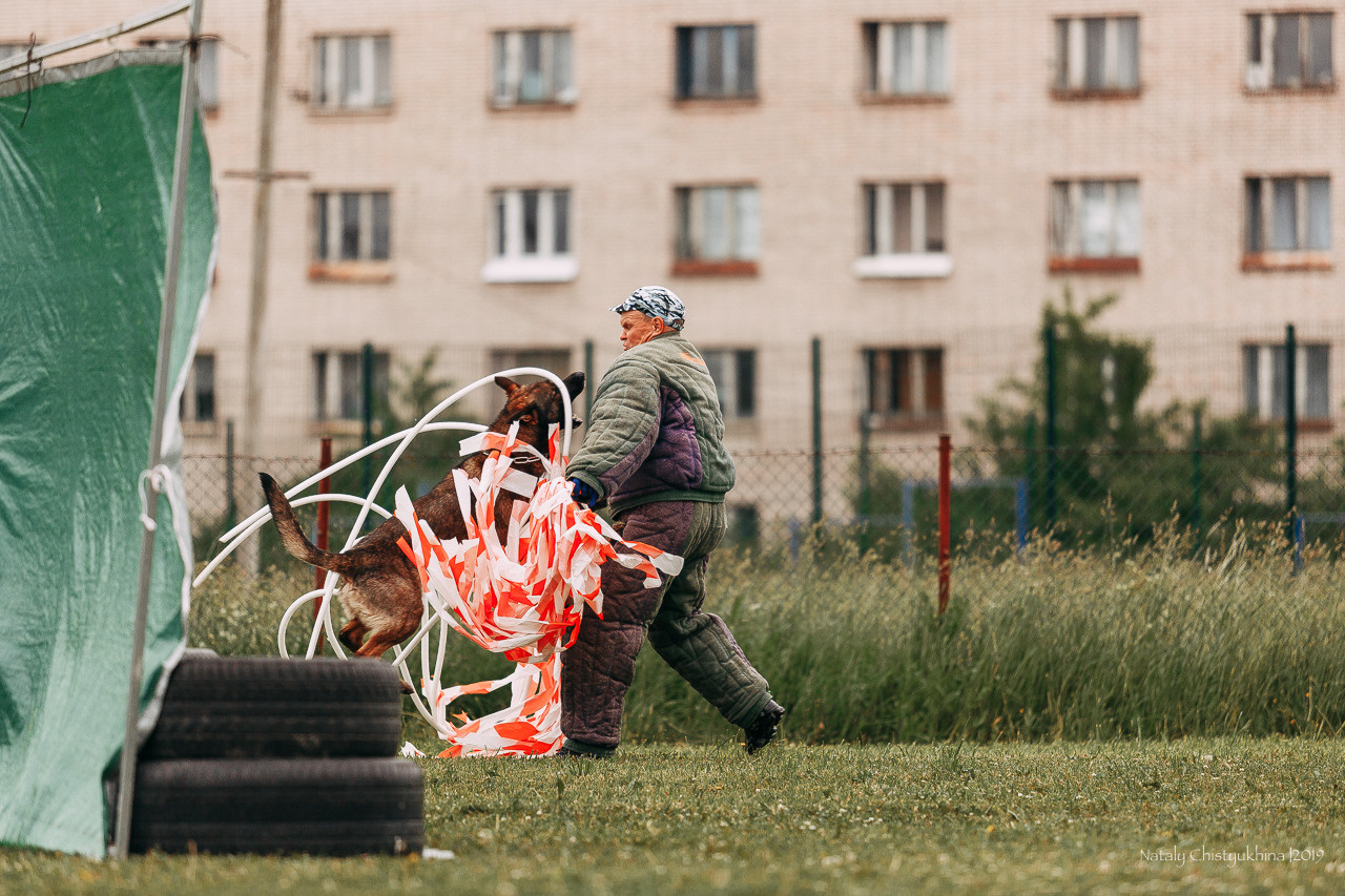 Соревнования БРР. Фотограф-анималист Наталия Чистюхина в г. Сосновый Бор и ЛО