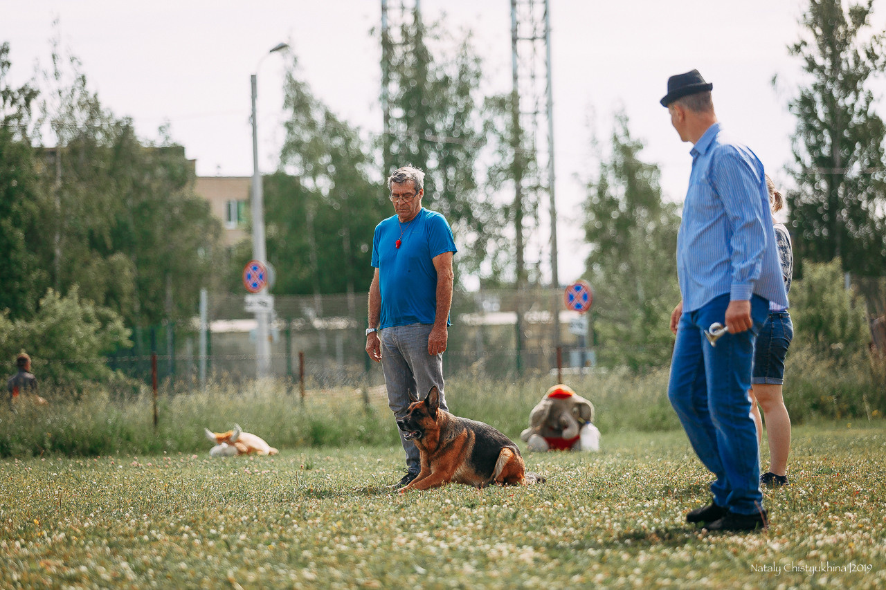 Соревнования по мондьорингу. Фотограф-анималист Наталия Чистюхина в г. Сосновый Бор и ЛО