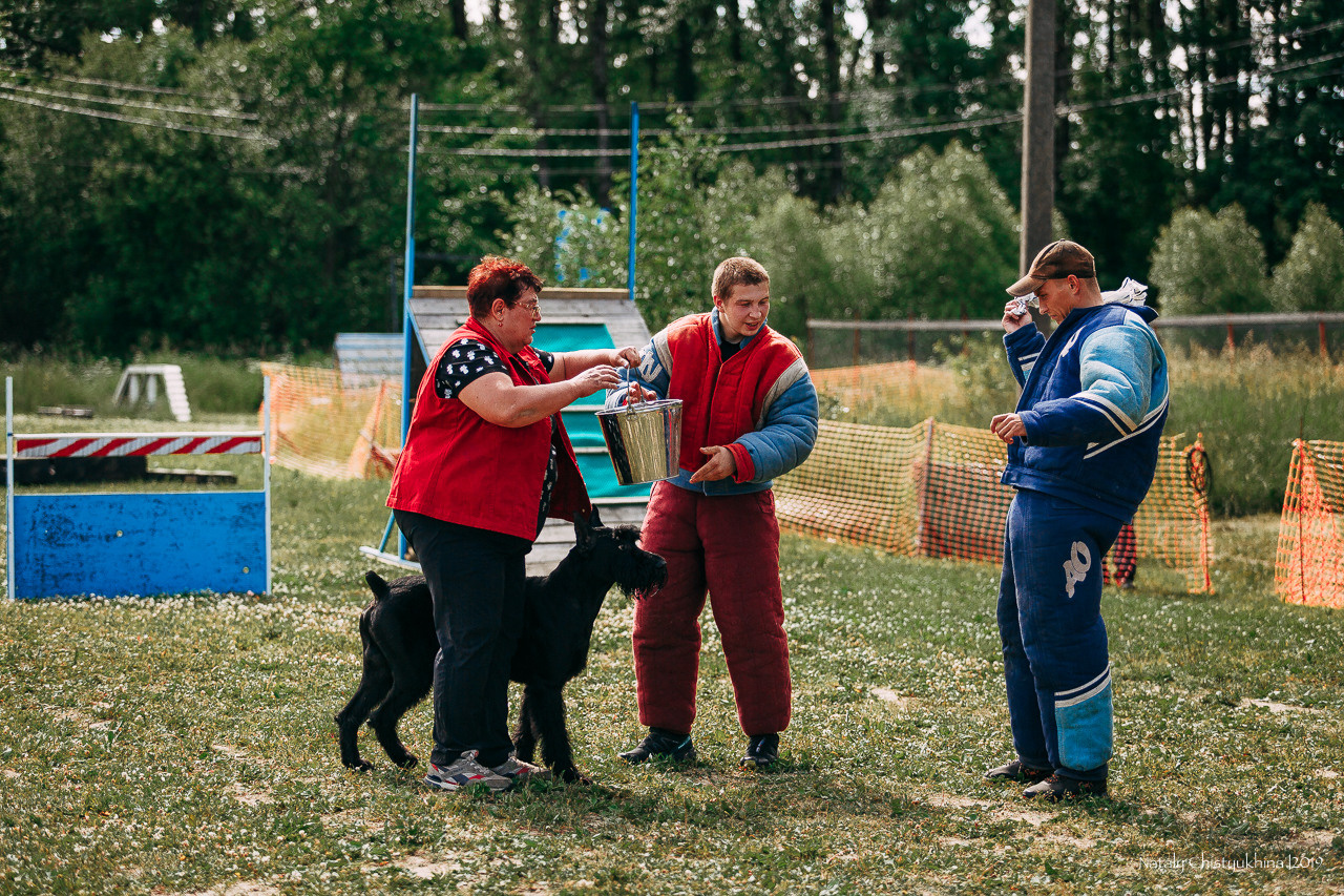 Соревнования по мондьорингу. Фотограф-анималист Наталия Чистюхина в г. Сосновый Бор и ЛО