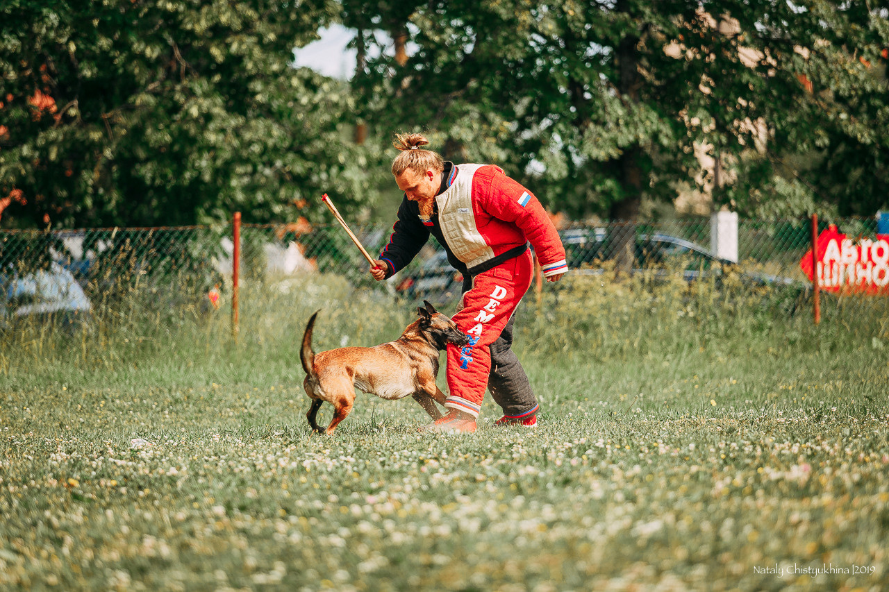 Соревнования по мондьорингу. Фотограф-анималист Наталия Чистюхина в г. Сосновый Бор и ЛО