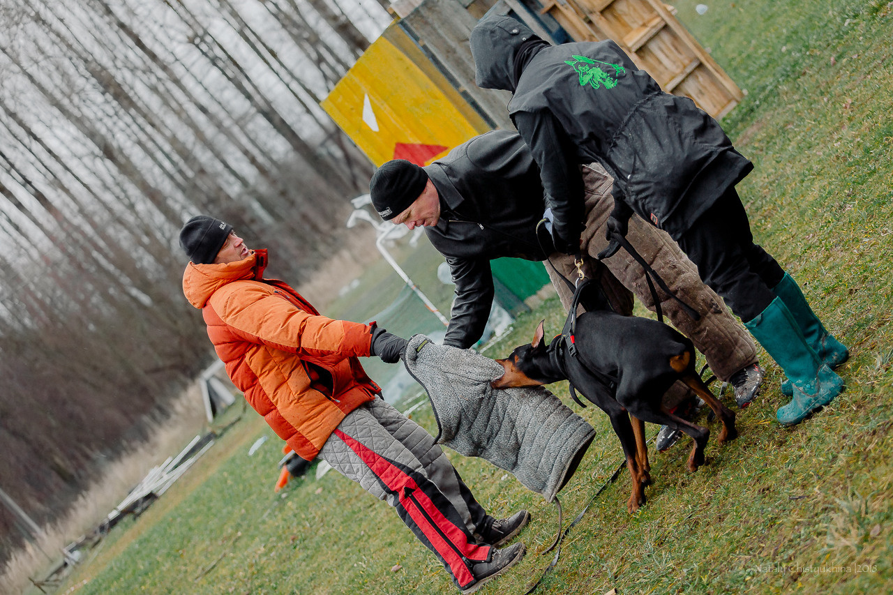Семинары по мондио. Фотограф-анималист Наталия Чистюхина в г. Сосновый Бор и ЛО