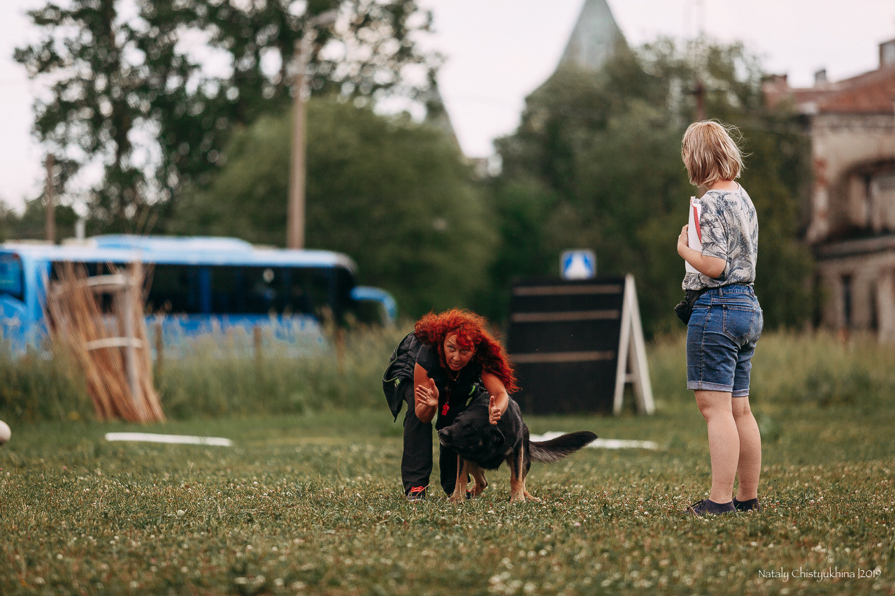 Соревнования по мондьорингу. Фотограф-анималист Наталия Чистюхина в г. Сосновый Бор и ЛО