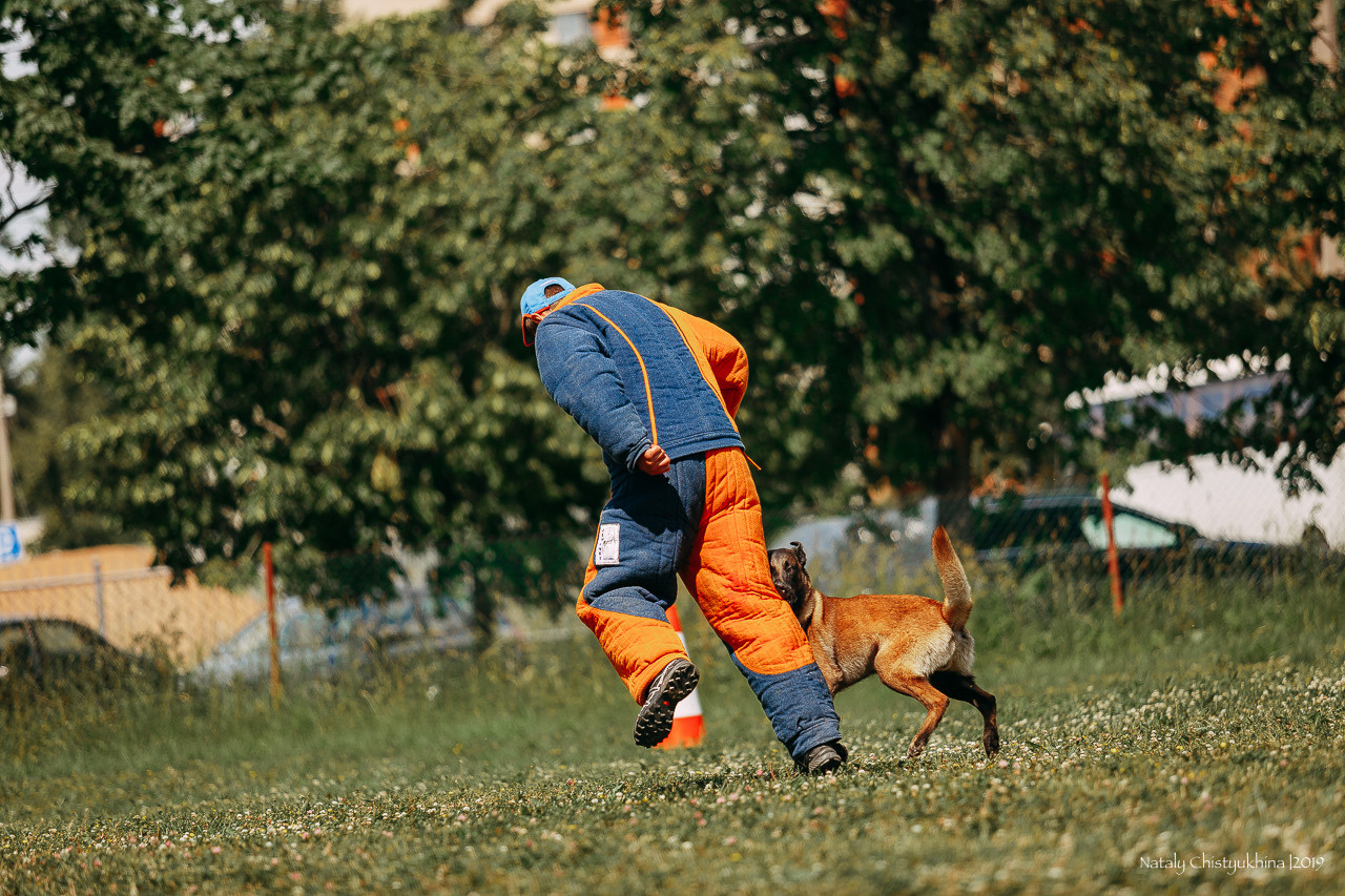 Соревнования по мондьорингу. Фотограф-анималист Наталия Чистюхина в г. Сосновый Бор и ЛО