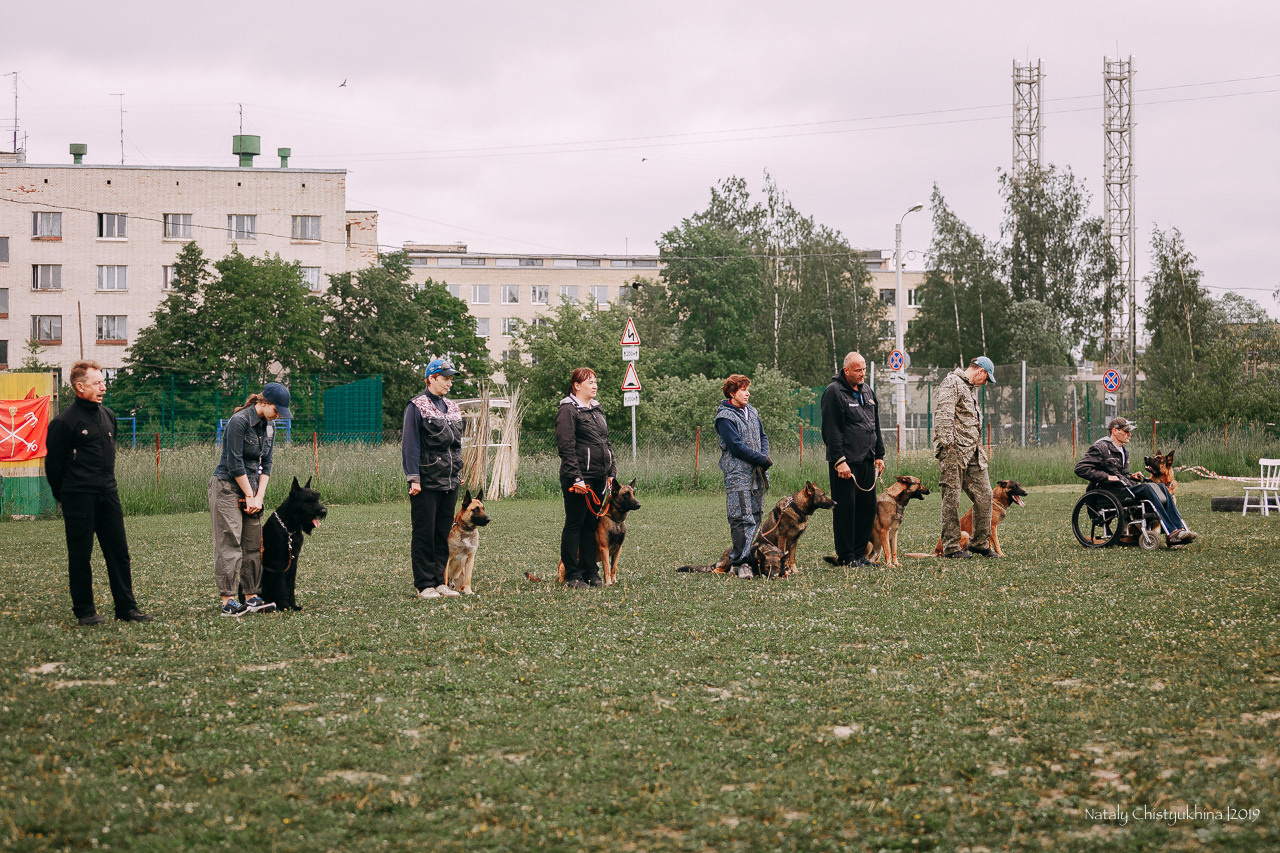 Соревнования БРР. Фотограф-анималист Наталия Чистюхина в г. Сосновый Бор и ЛО