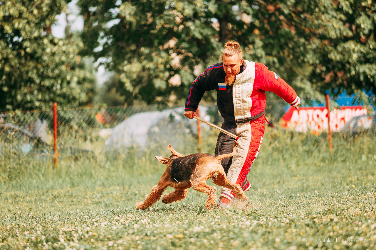 Соревнования по мондьорингу. Фотограф-анималист Наталия Чистюхина в г. Сосновый Бор и ЛО