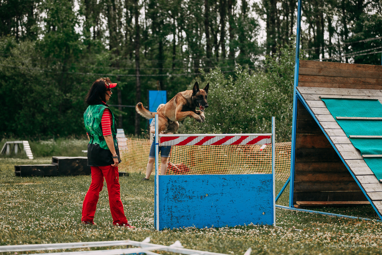 Соревнования по мондьорингу. Фотограф-анималист Наталия Чистюхина в г. Сосновый Бор и ЛО