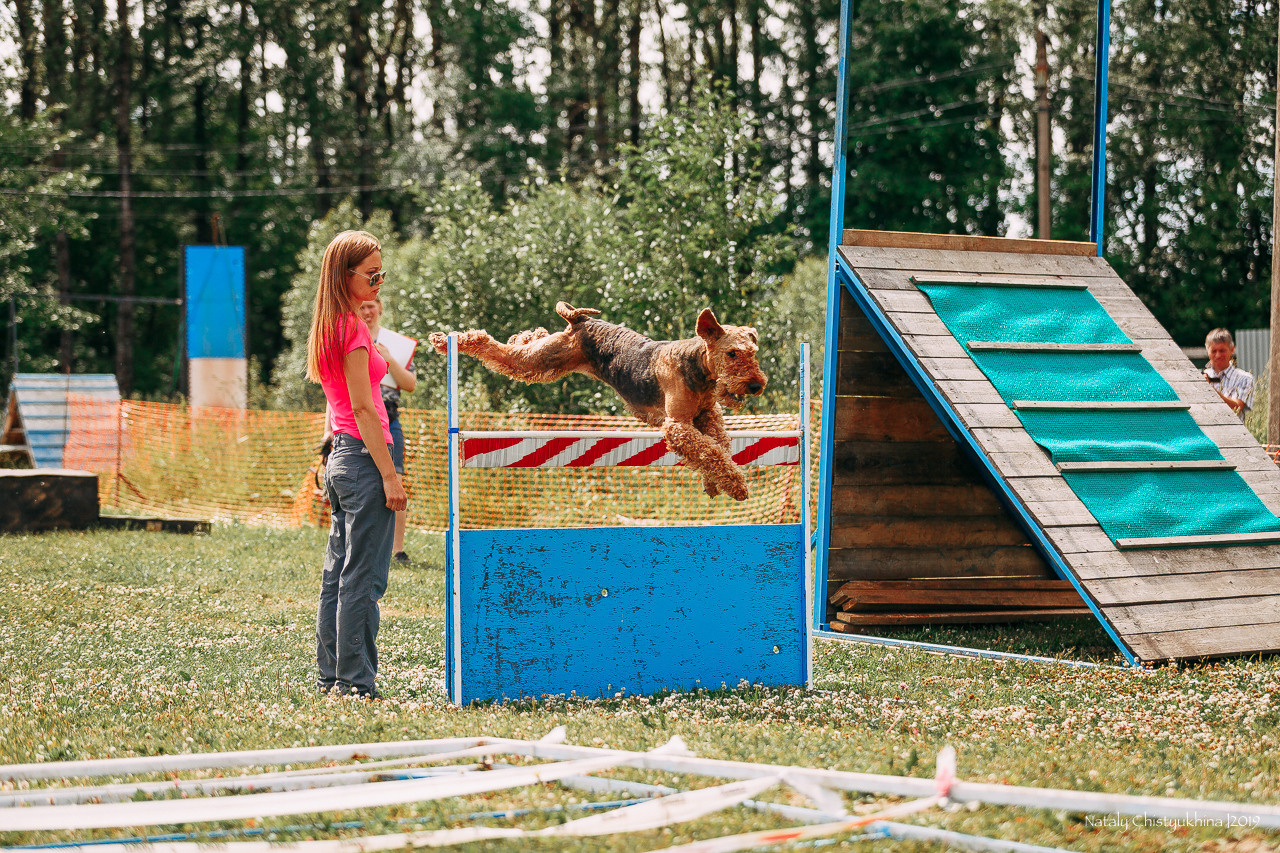 Соревнования по мондьорингу. Фотограф-анималист Наталия Чистюхина в г. Сосновый Бор и ЛО