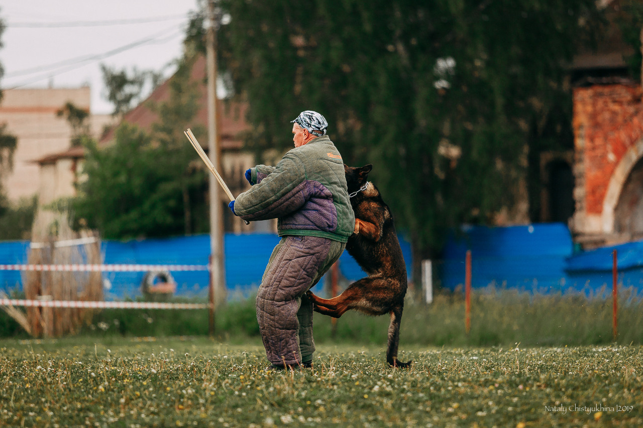 Соревнования БРР. Фотограф-анималист Наталия Чистюхина в г. Сосновый Бор и ЛО