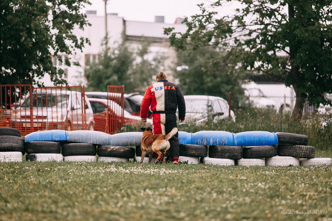 Соревнования по мондьорингу. Фотограф-анималист Наталия Чистюхина в г. Сосновый Бор и ЛО