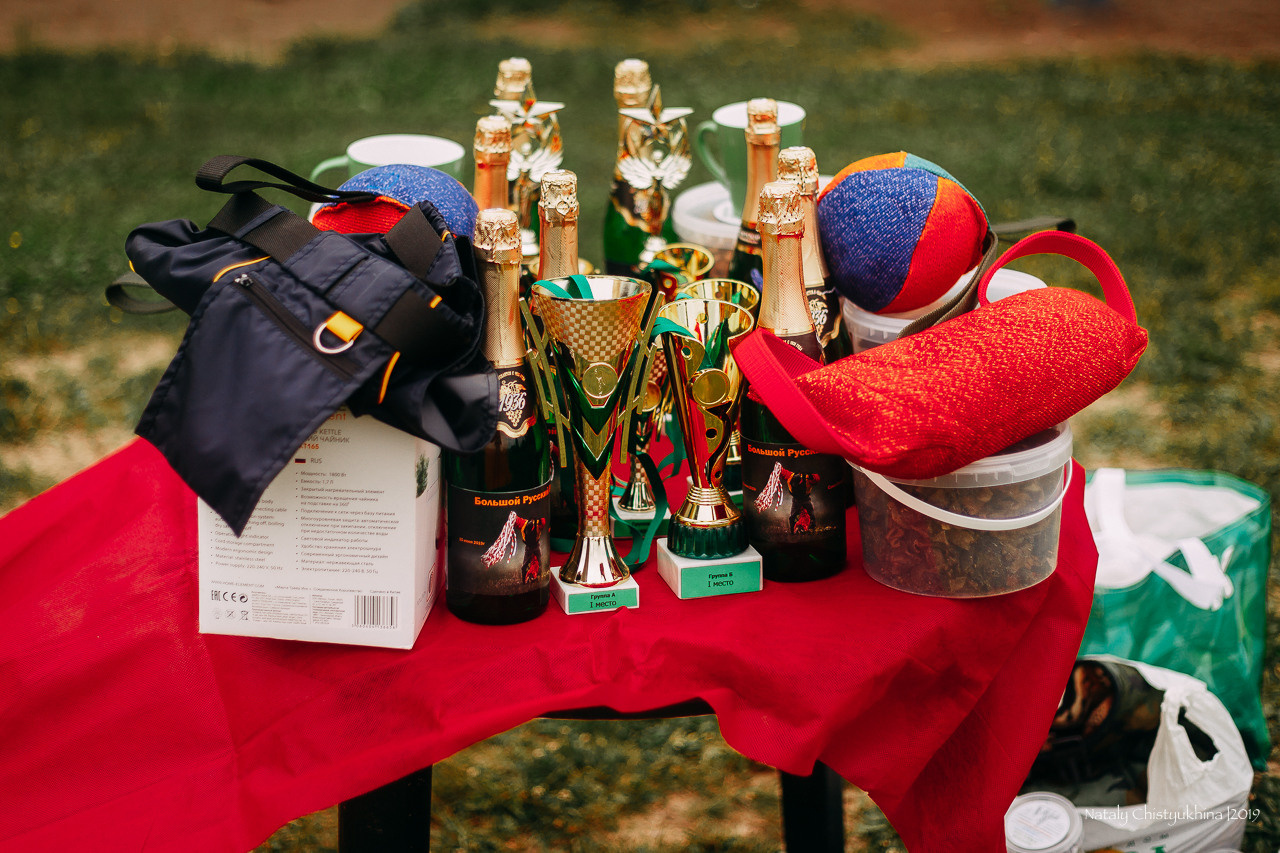 Соревнования БРР. Фотограф-анималист Наталия Чистюхина в г. Сосновый Бор и ЛО