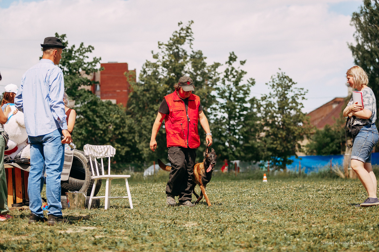Соревнования по мондьорингу. Фотограф-анималист Наталия Чистюхина в г. Сосновый Бор и ЛО