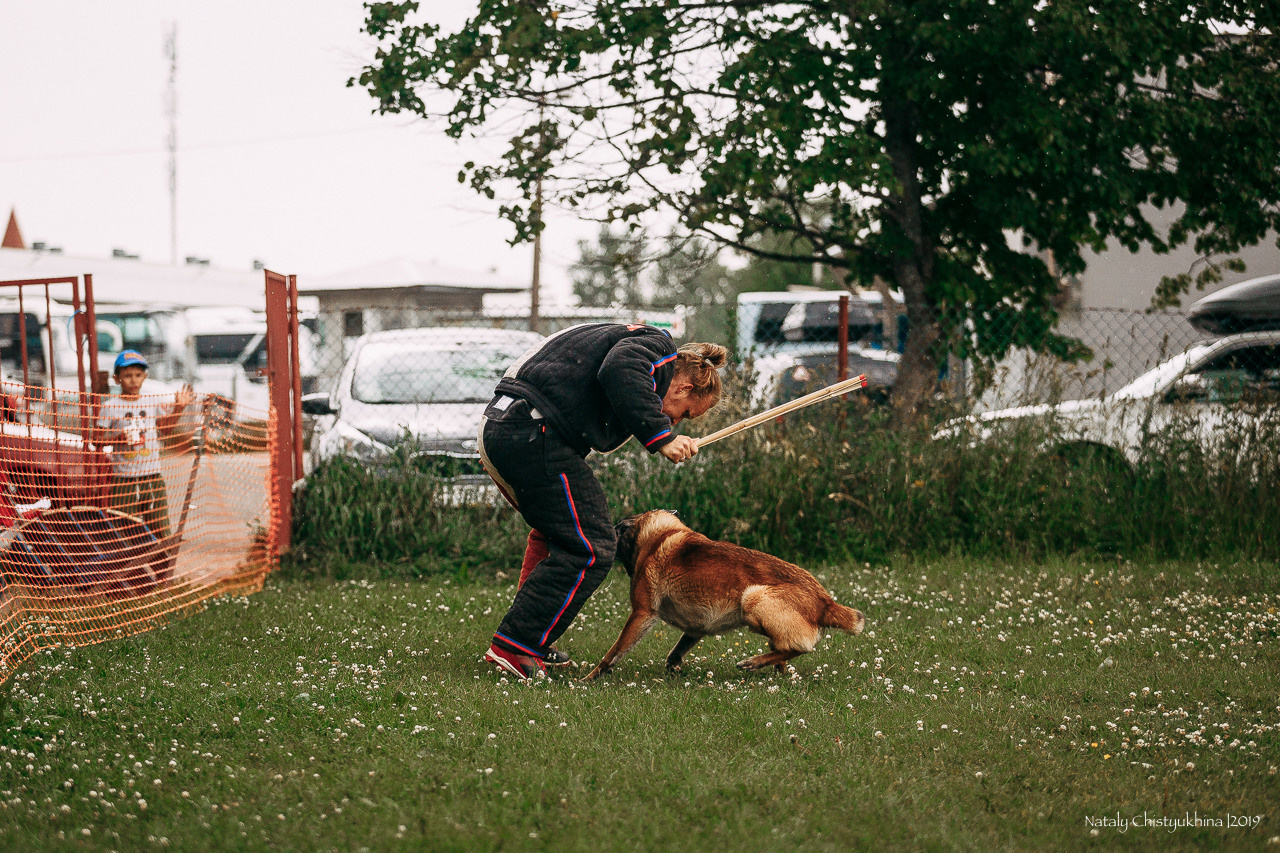 Соревнования по мондьорингу. Фотограф-анималист Наталия Чистюхина в г. Сосновый Бор и ЛО