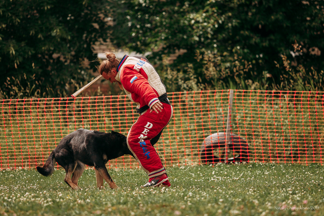 Соревнования по мондьорингу. Фотограф-анималист Наталия Чистюхина в г. Сосновый Бор и ЛО