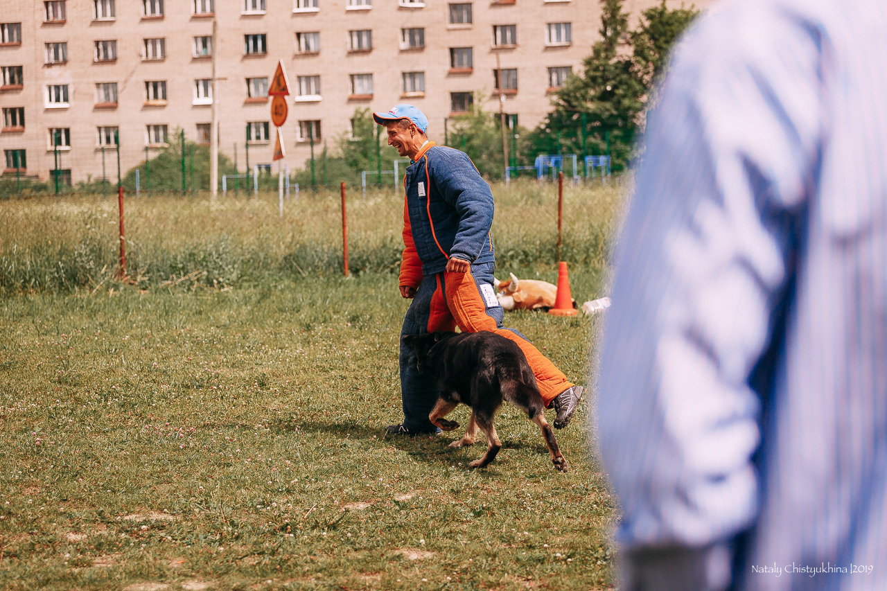 Соревнования по мондьорингу. Фотограф-анималист Наталия Чистюхина в г. Сосновый Бор и ЛО
