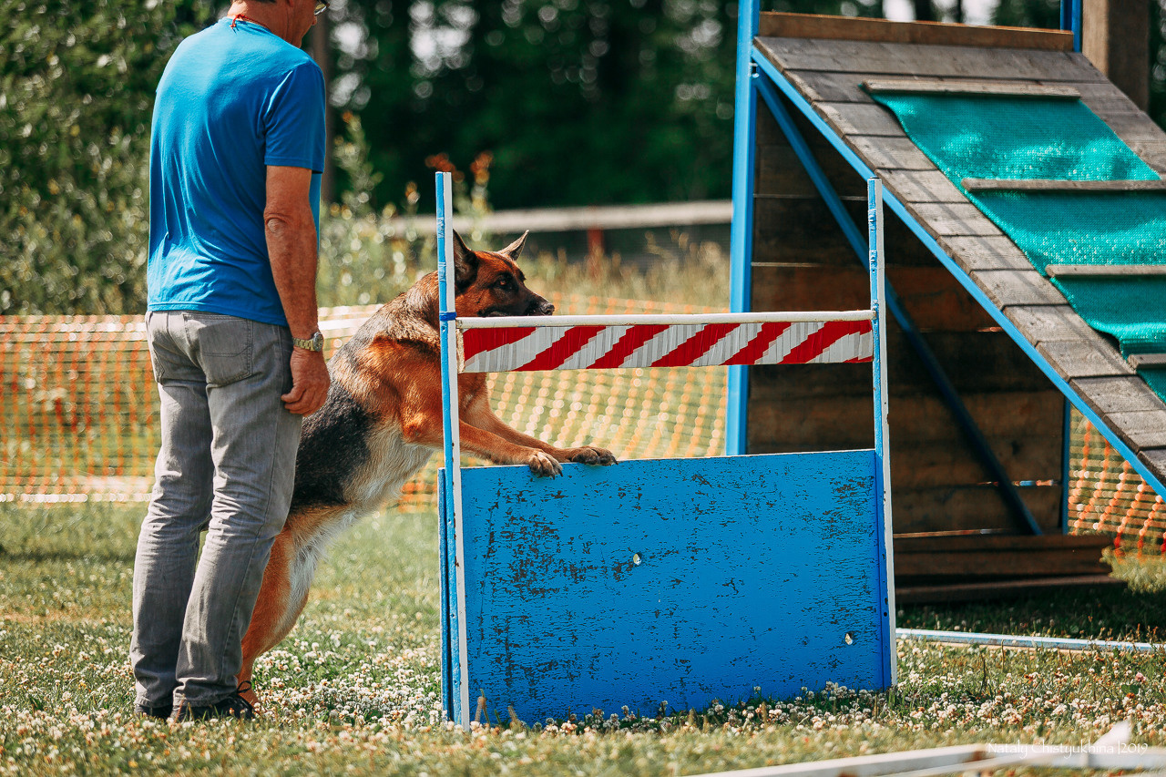 Соревнования по мондьорингу. Фотограф-анималист Наталия Чистюхина в г. Сосновый Бор и ЛО
