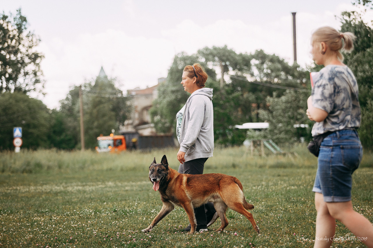 Соревнования по мондьорингу. Фотограф-анималист Наталия Чистюхина в г. Сосновый Бор и ЛО