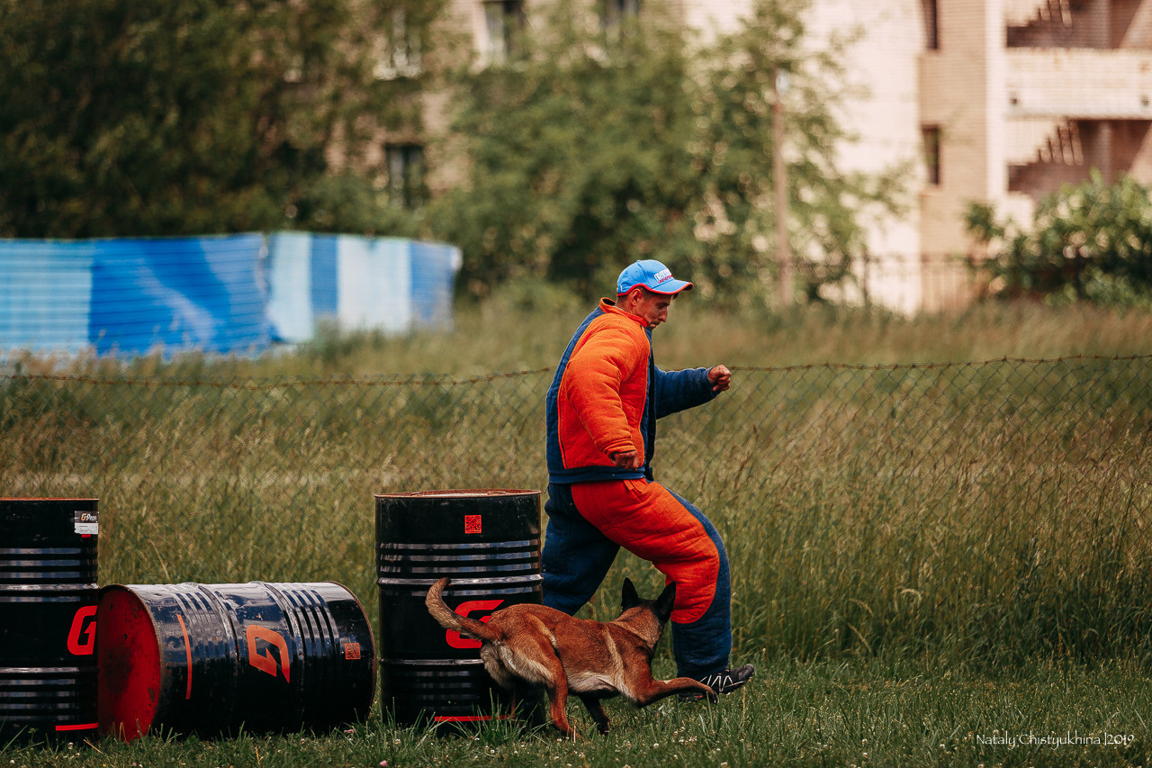 Соревнования по мондьорингу. Фотограф-анималист Наталия Чистюхина в г. Сосновый Бор и ЛО