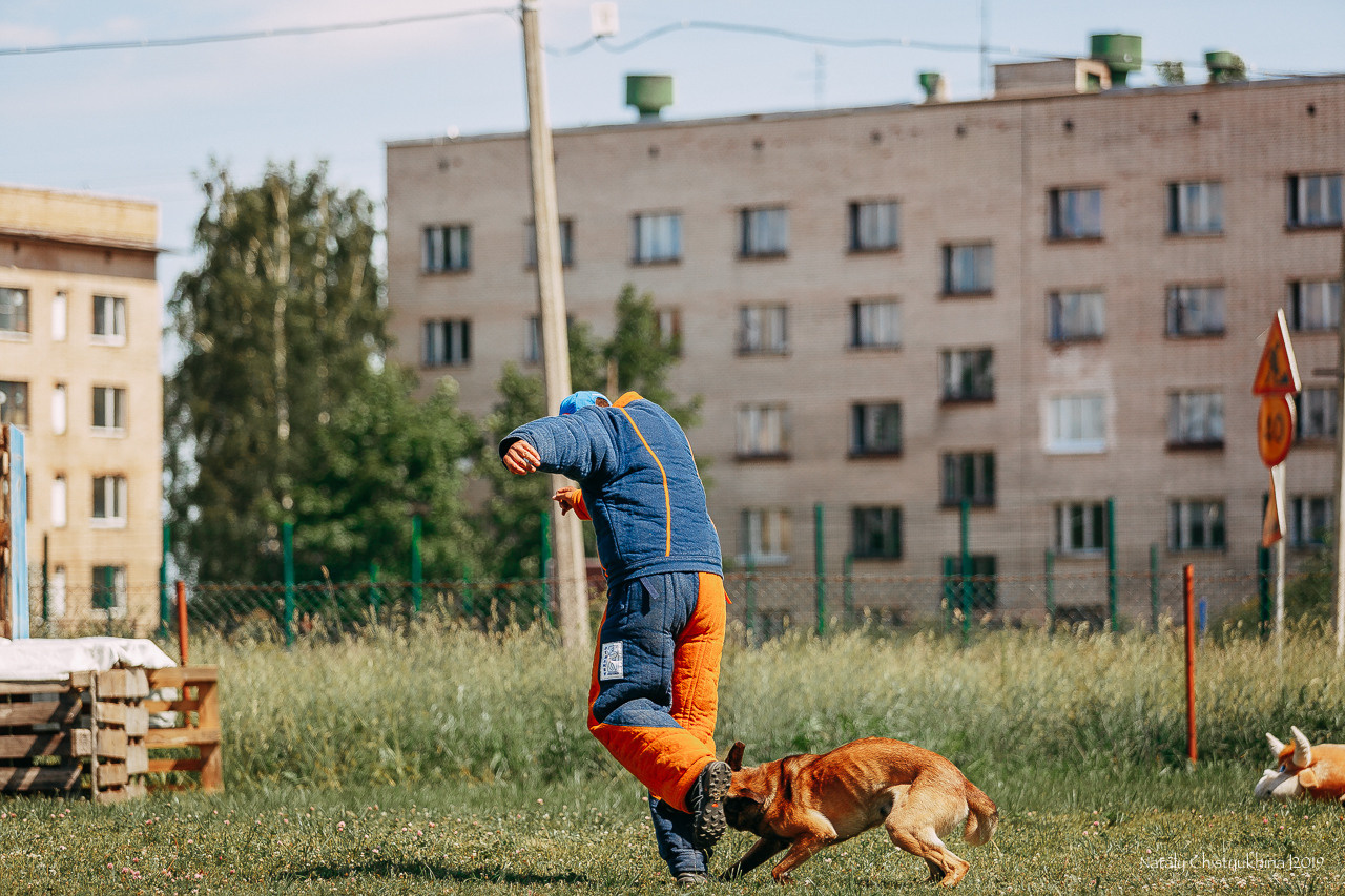 Соревнования по мондьорингу. Фотограф-анималист Наталия Чистюхина в г. Сосновый Бор и ЛО