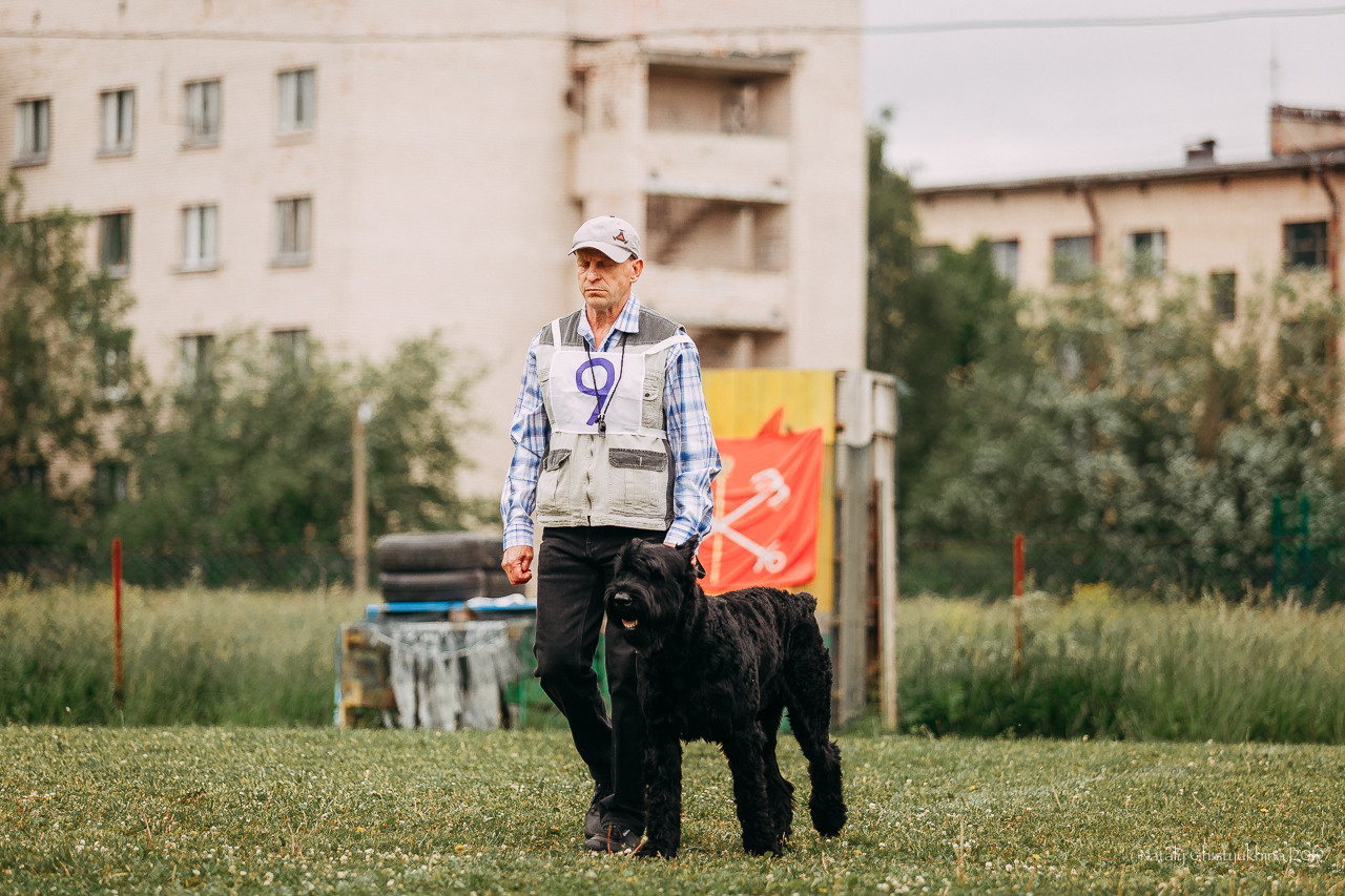 Соревнования БРР. Фотограф-анималист Наталия Чистюхина в г. Сосновый Бор и ЛО