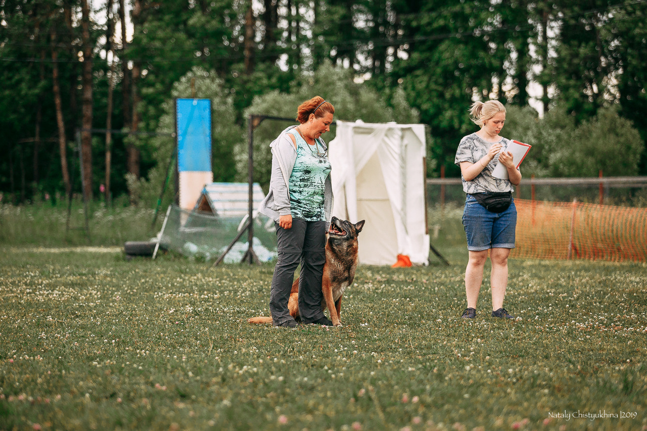 Соревнования по мондьорингу. Фотограф-анималист Наталия Чистюхина в г. Сосновый Бор и ЛО