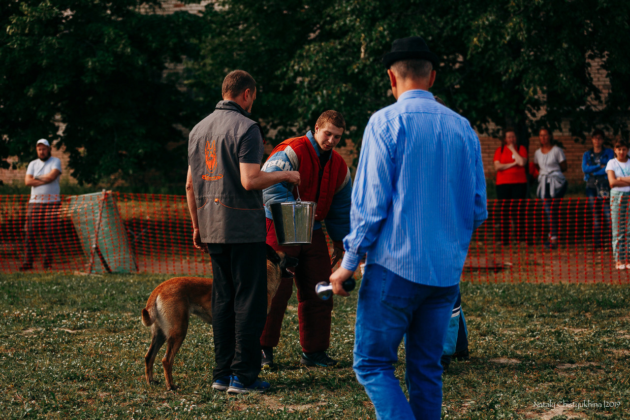 Соревнования по мондьорингу. Фотограф-анималист Наталия Чистюхина в г. Сосновый Бор и ЛО