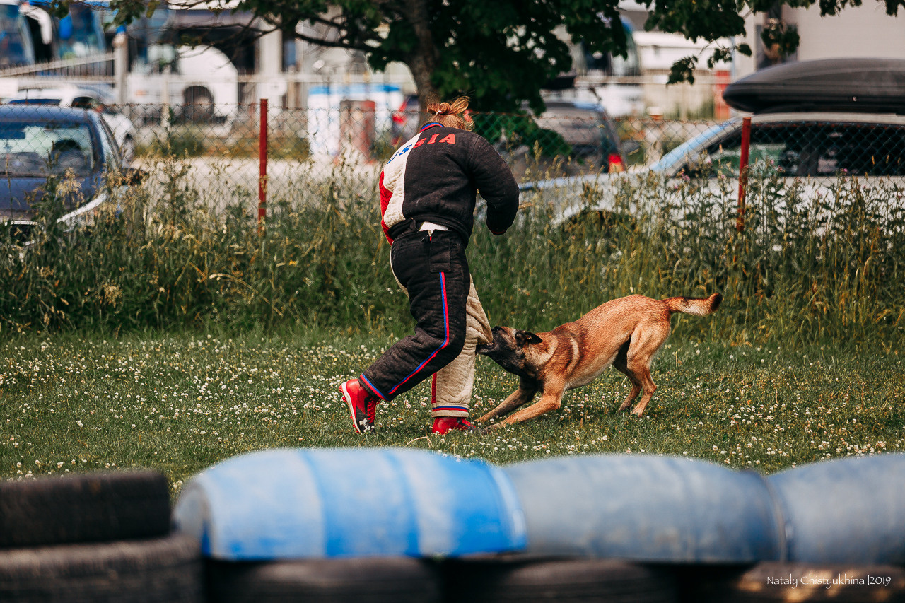 Соревнования по мондьорингу. Фотограф-анималист Наталия Чистюхина в г. Сосновый Бор и ЛО