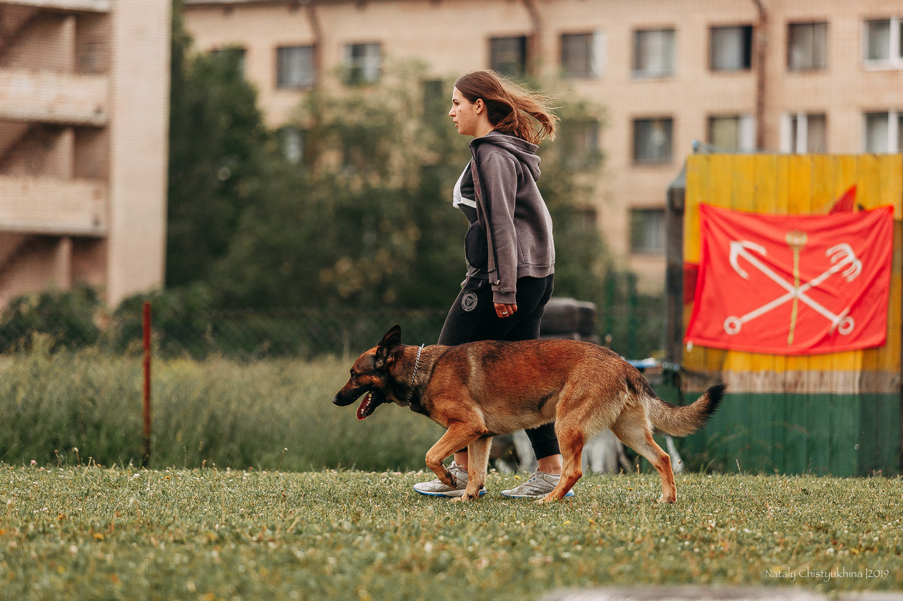 Соревнования БРР. Фотограф-анималист Наталия Чистюхина в г. Сосновый Бор и ЛО