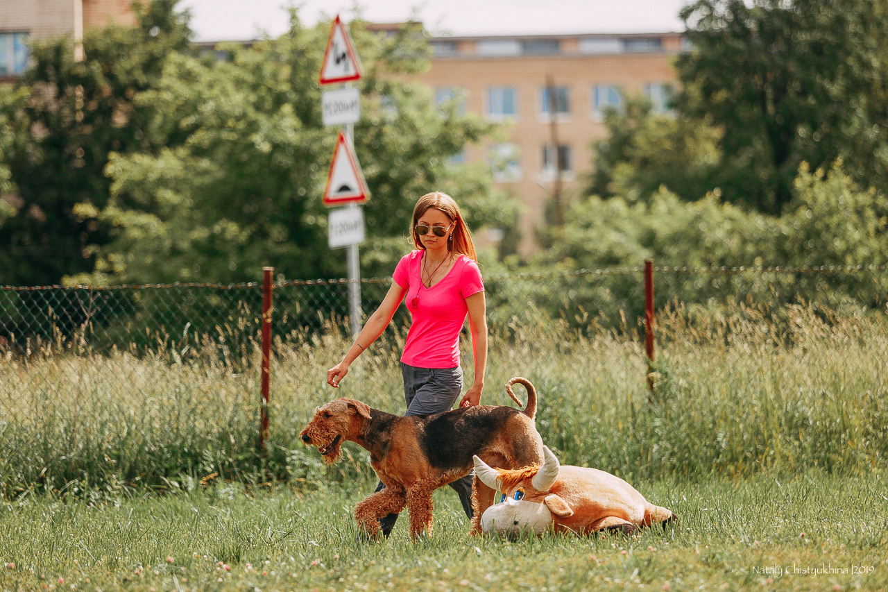 Соревнования по мондьорингу. Фотограф-анималист Наталия Чистюхина в г. Сосновый Бор и ЛО