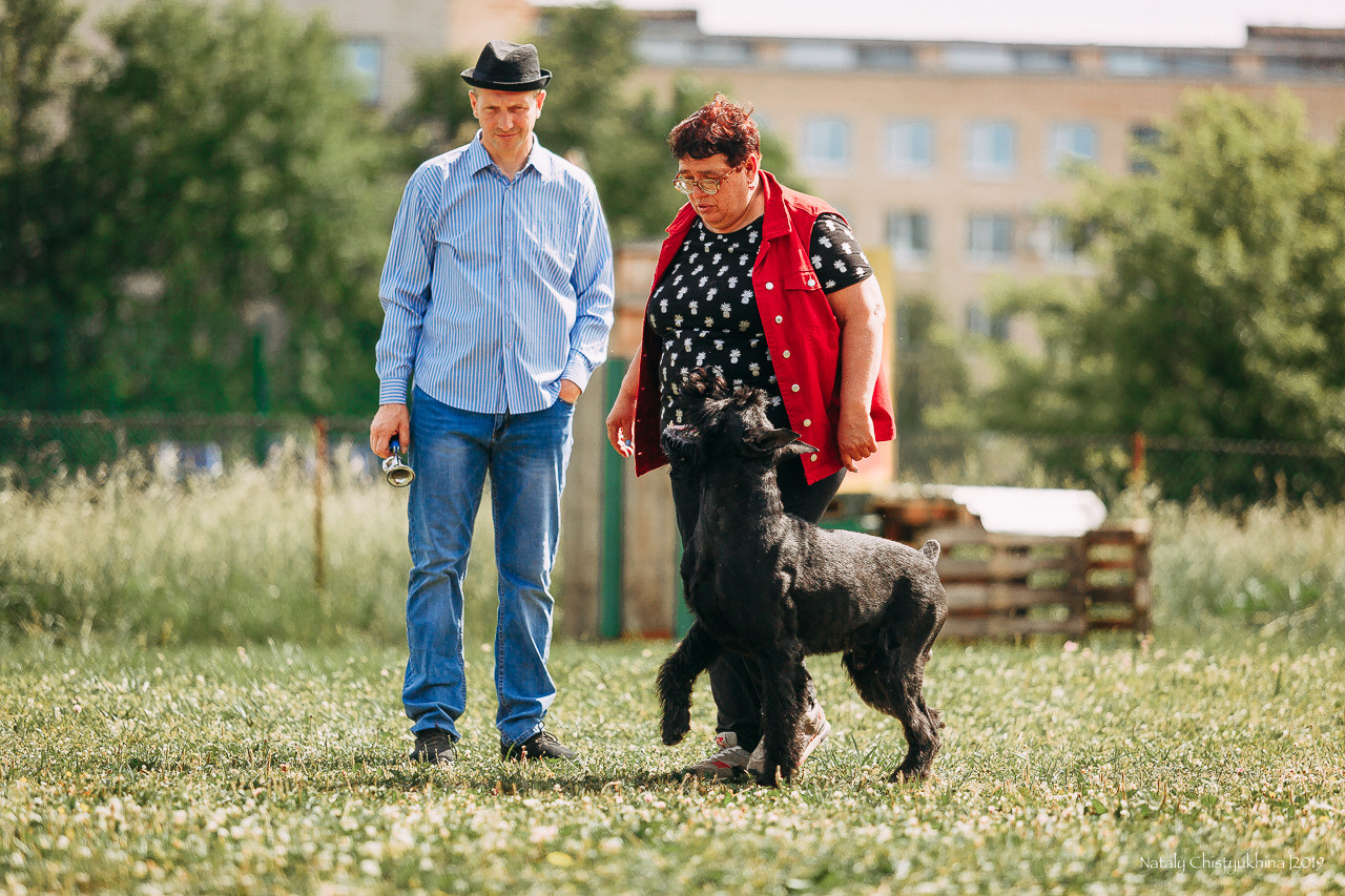 Соревнования по мондьорингу. Фотограф-анималист Наталия Чистюхина в г. Сосновый Бор и ЛО