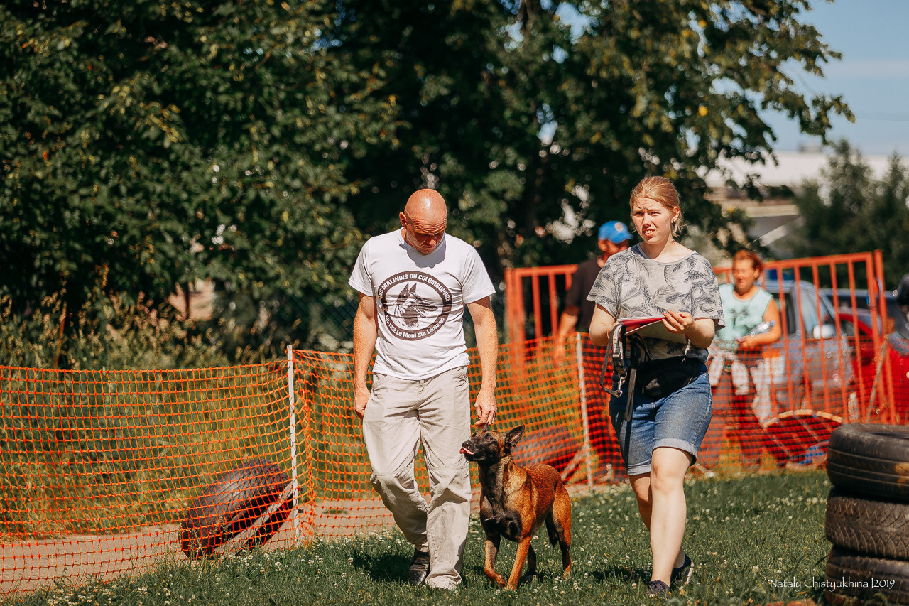 Соревнования по мондьорингу. Фотограф-анималист Наталия Чистюхина в г. Сосновый Бор и ЛО