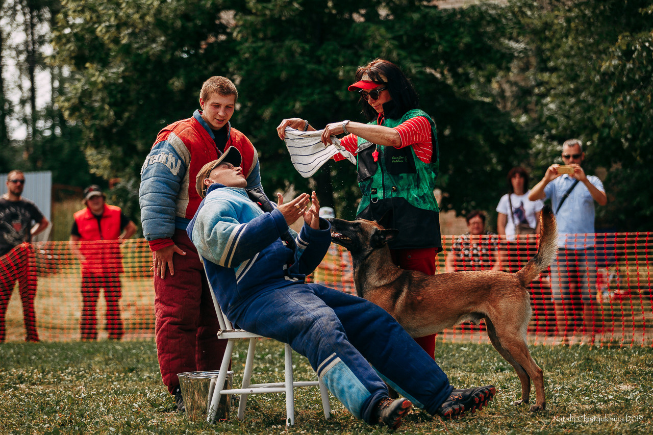 Соревнования по мондьорингу. Фотограф-анималист Наталия Чистюхина в г. Сосновый Бор и ЛО