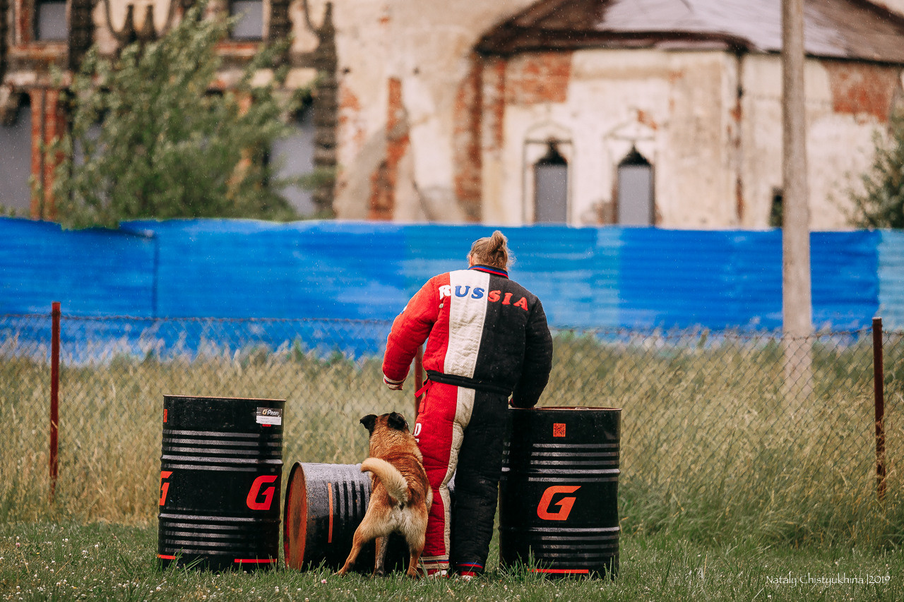 Соревнования по мондьорингу. Фотограф-анималист Наталия Чистюхина в г. Сосновый Бор и ЛО