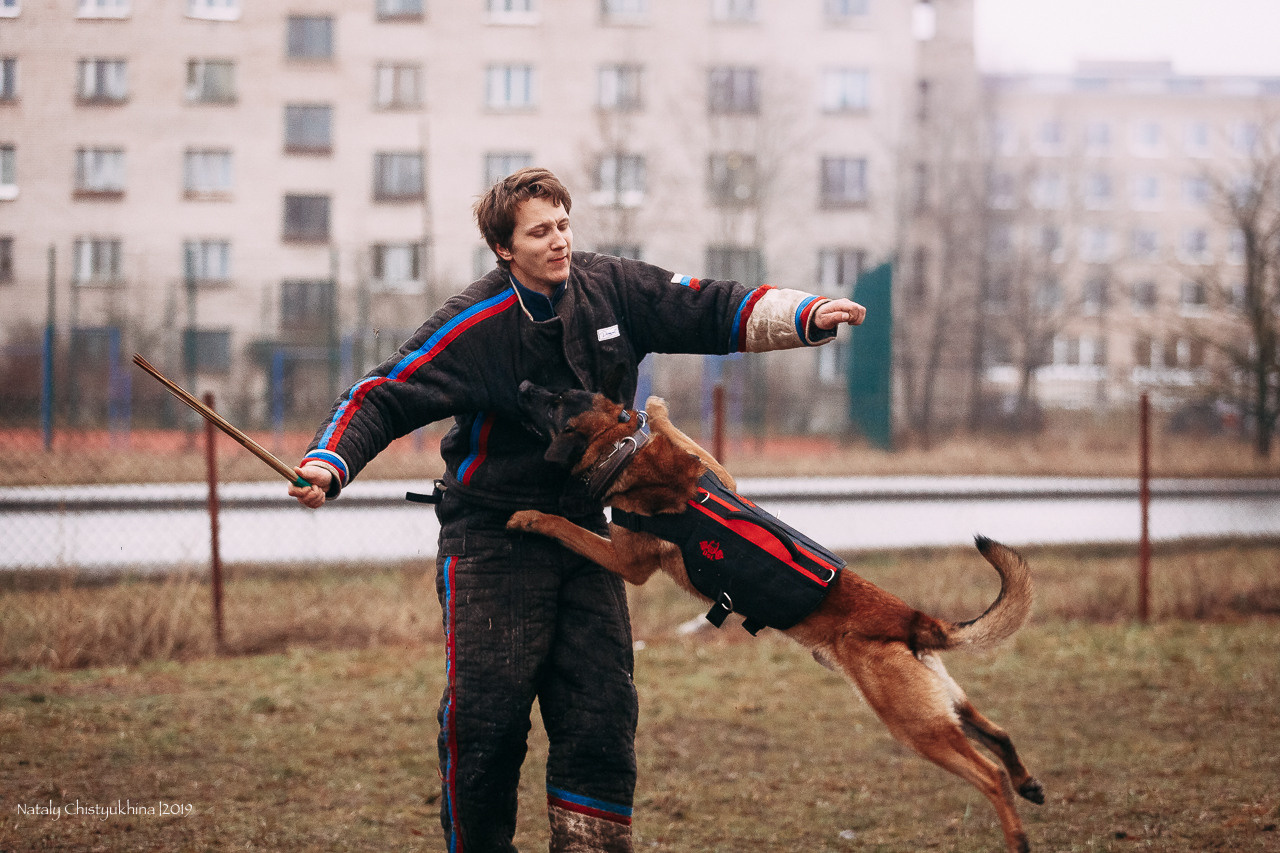 Семинары по мондио. Фотограф-анималист Наталия Чистюхина в г. Сосновый Бор и ЛО