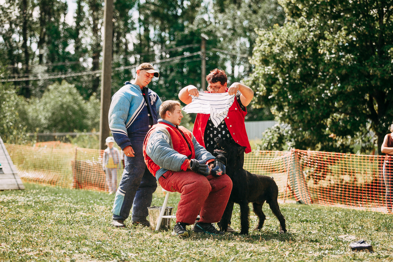 Соревнования по мондьорингу. Фотограф-анималист Наталия Чистюхина в г. Сосновый Бор и ЛО