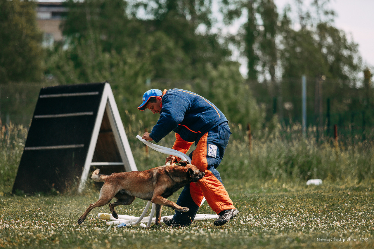 Соревнования по мондьорингу. Фотограф-анималист Наталия Чистюхина в г. Сосновый Бор и ЛО