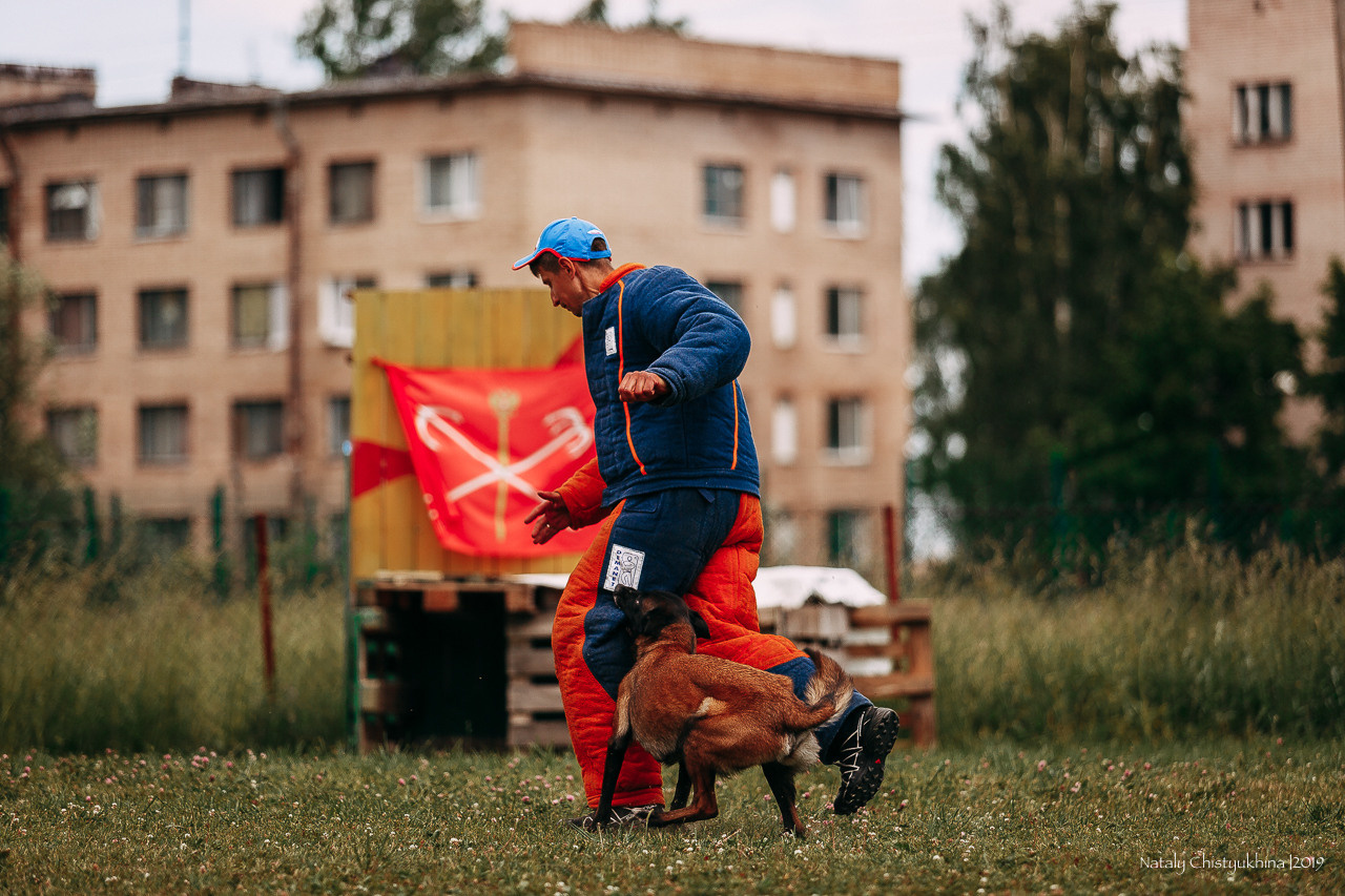 Соревнования по мондьорингу. Фотограф-анималист Наталия Чистюхина в г. Сосновый Бор и ЛО