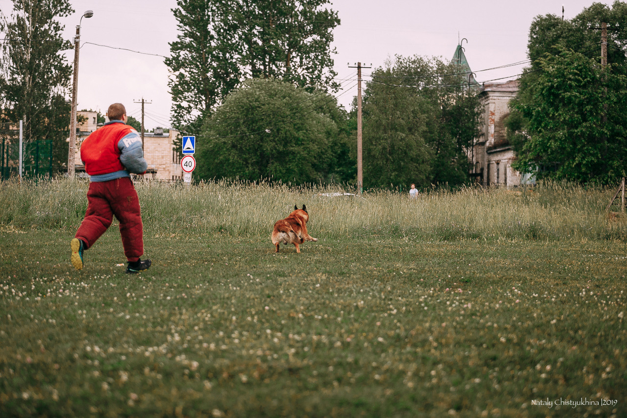 Соревнования по мондьорингу. Фотограф-анималист Наталия Чистюхина в г. Сосновый Бор и ЛО