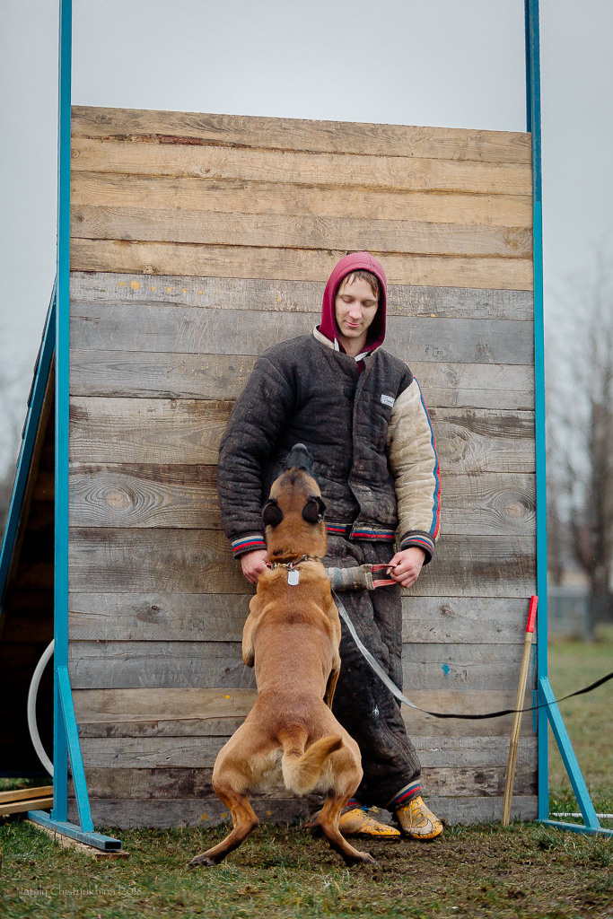 Семинары по мондио. Фотограф-анималист Наталия Чистюхина в г. Сосновый Бор и ЛО