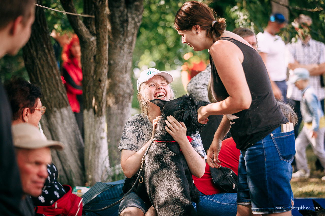 Соревнования по мондьорингу. Фотограф-анималист Наталия Чистюхина в г. Сосновый Бор и ЛО