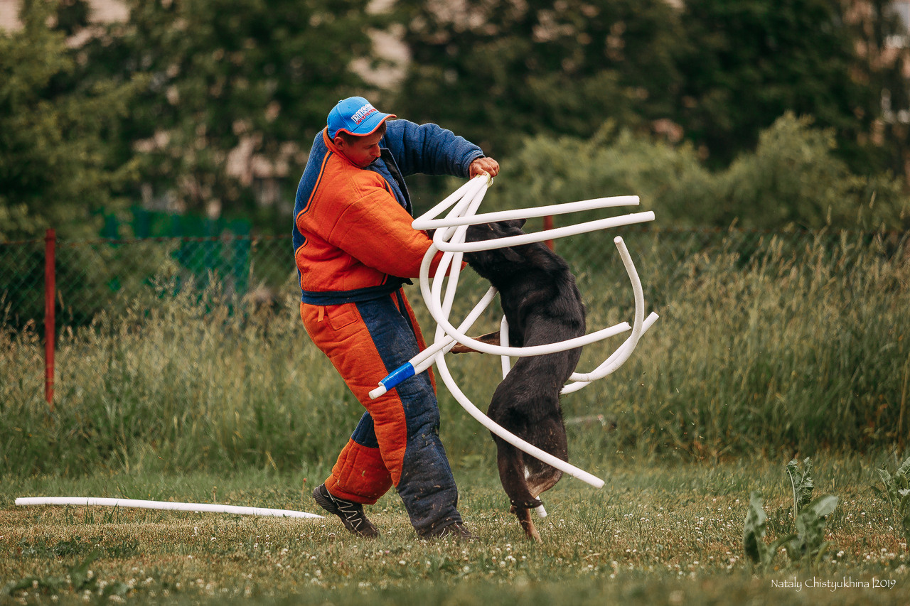 Соревнования по мондьорингу. Фотограф-анималист Наталия Чистюхина в г. Сосновый Бор и ЛО