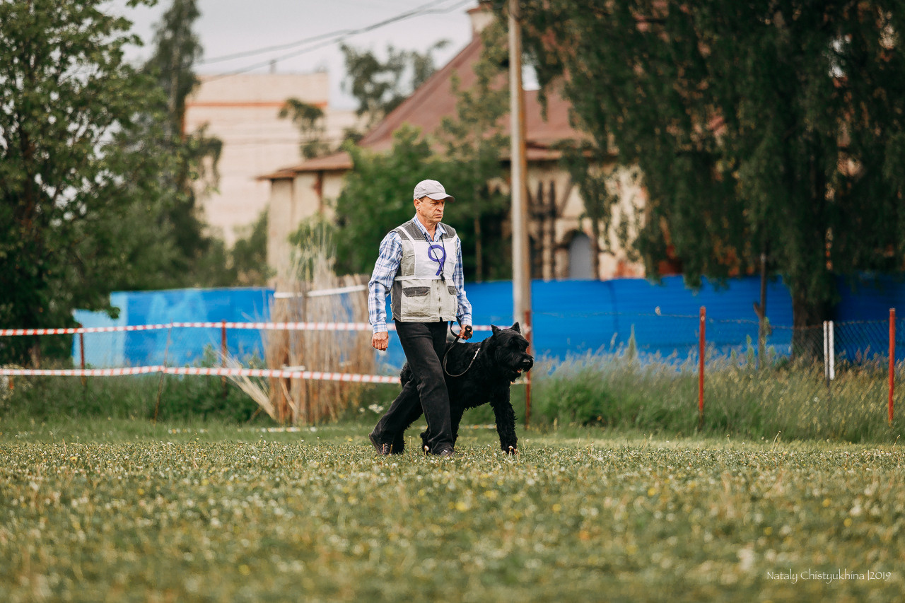 Соревнования БРР. Фотограф-анималист Наталия Чистюхина в г. Сосновый Бор и ЛО