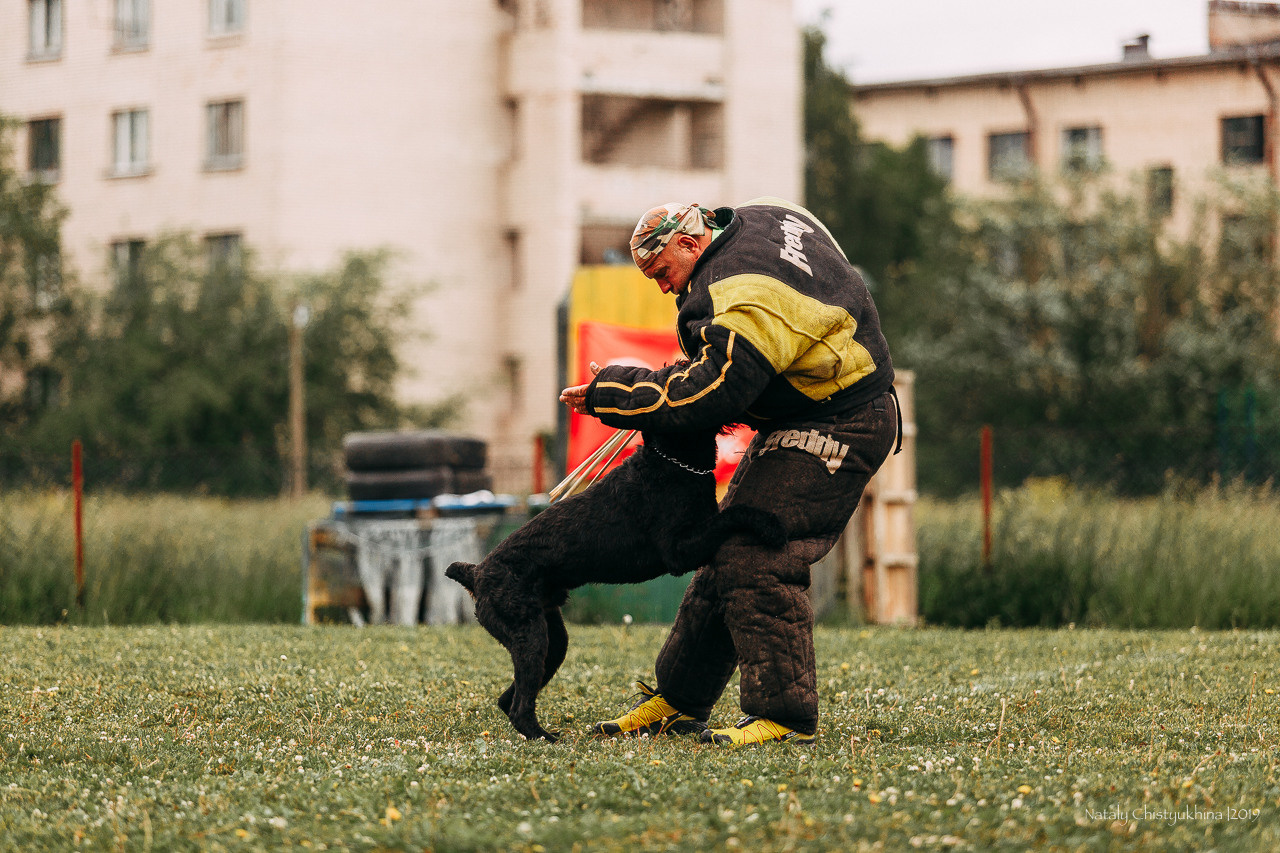 Соревнования БРР. Фотограф-анималист Наталия Чистюхина в г. Сосновый Бор и ЛО