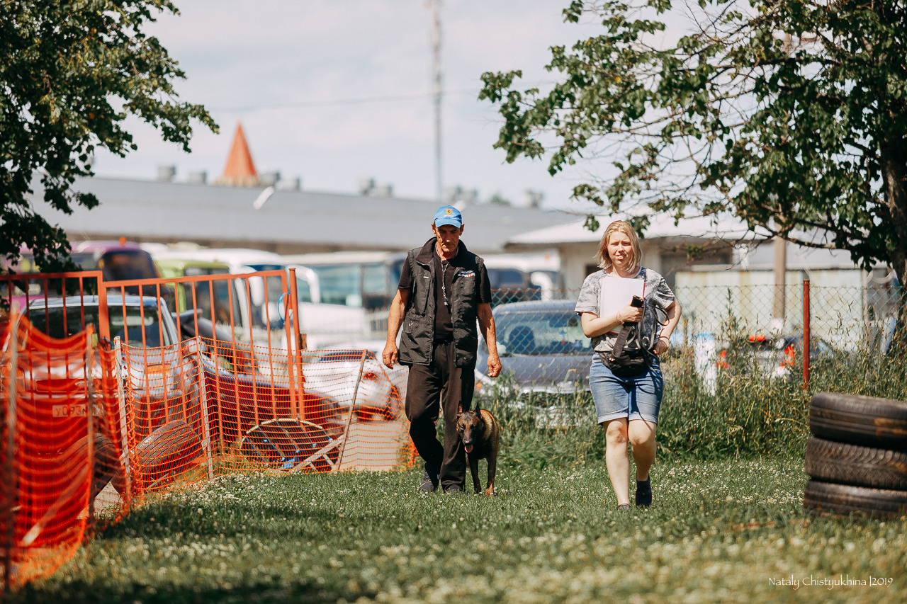 Соревнования по мондьорингу. Фотограф-анималист Наталия Чистюхина в г. Сосновый Бор и ЛО