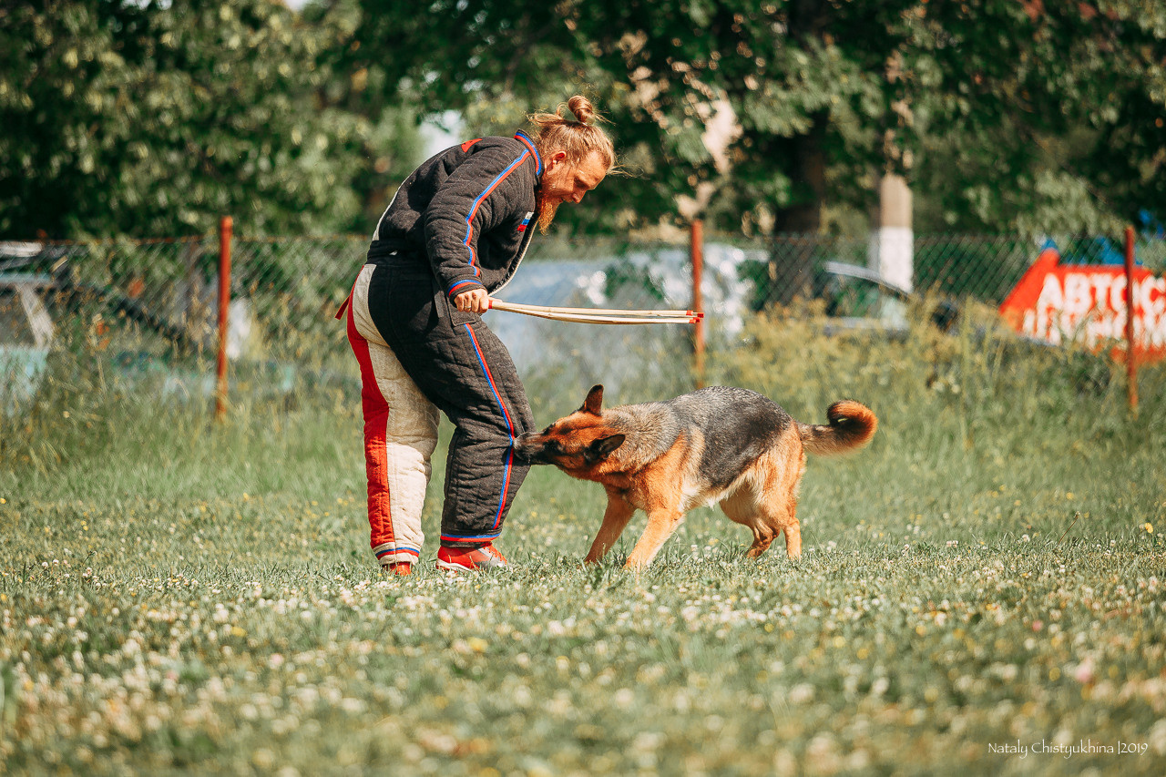 Соревнования по мондьорингу. Фотограф-анималист Наталия Чистюхина в г. Сосновый Бор и ЛО