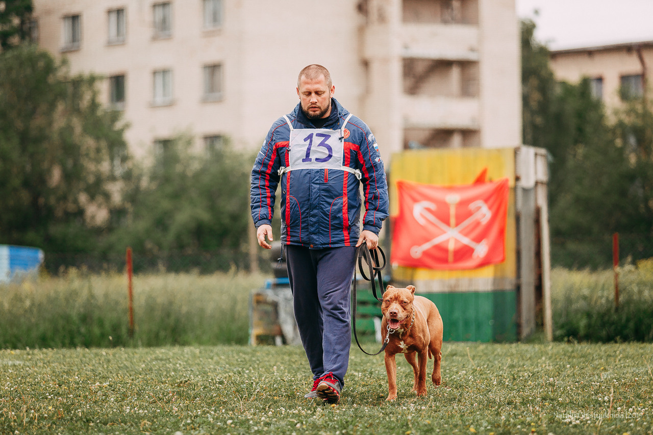 Соревнования БРР. Фотограф-анималист Наталия Чистюхина в г. Сосновый Бор и ЛО
