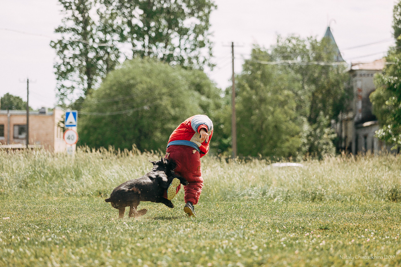 Соревнования по мондьорингу. Фотограф-анималист Наталия Чистюхина в г. Сосновый Бор и ЛО