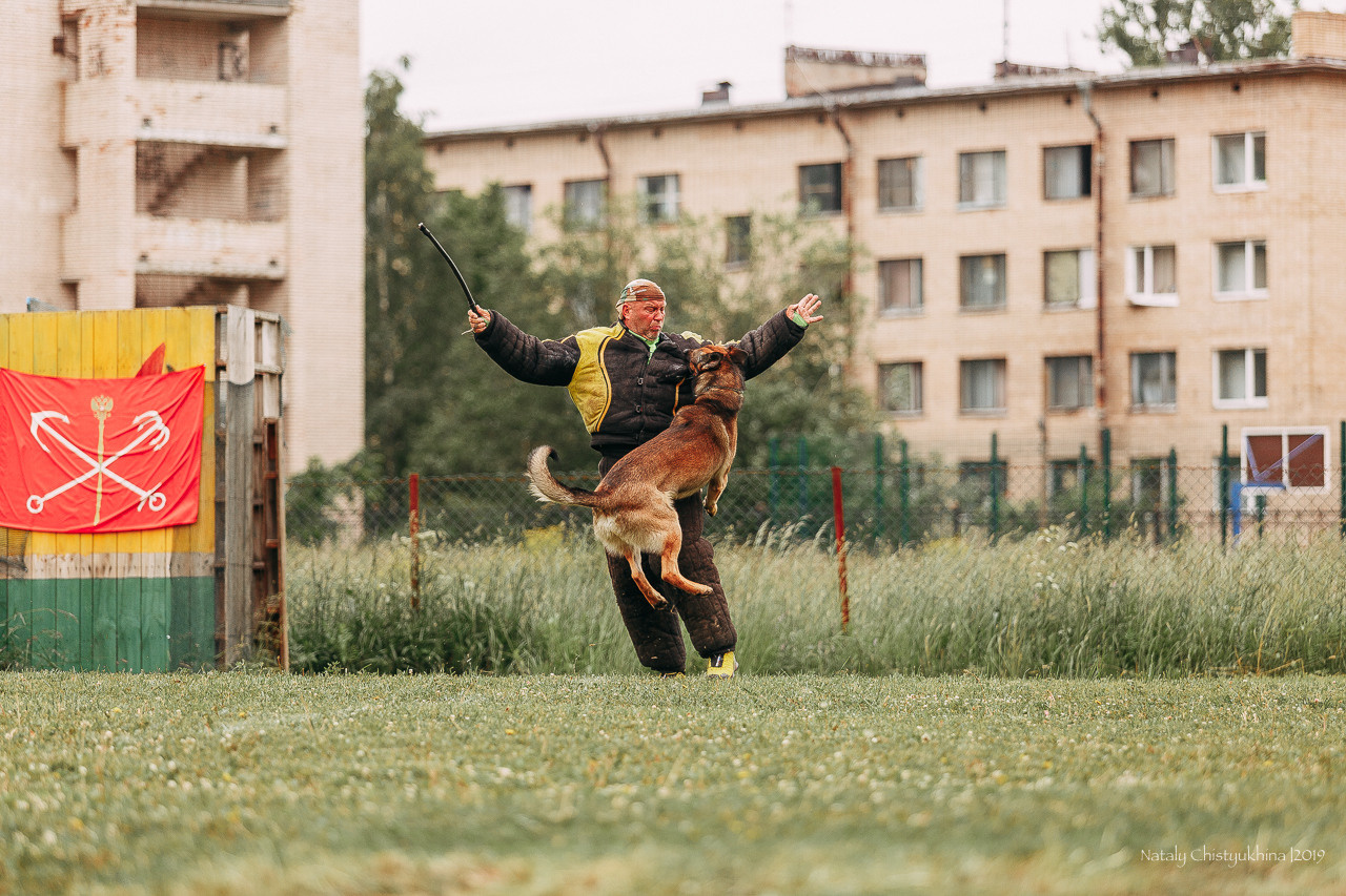 Соревнования БРР. Фотограф-анималист Наталия Чистюхина в г. Сосновый Бор и ЛО